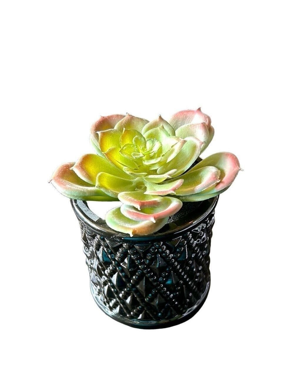 Colorful Faux Succulent in Black Pot